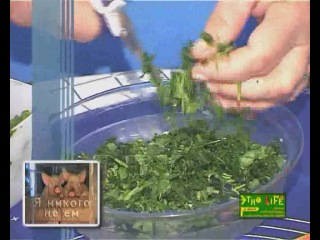 video recipes for vegetarian dishes. we do not eat anyone and do not advise you 07 raita okroshka